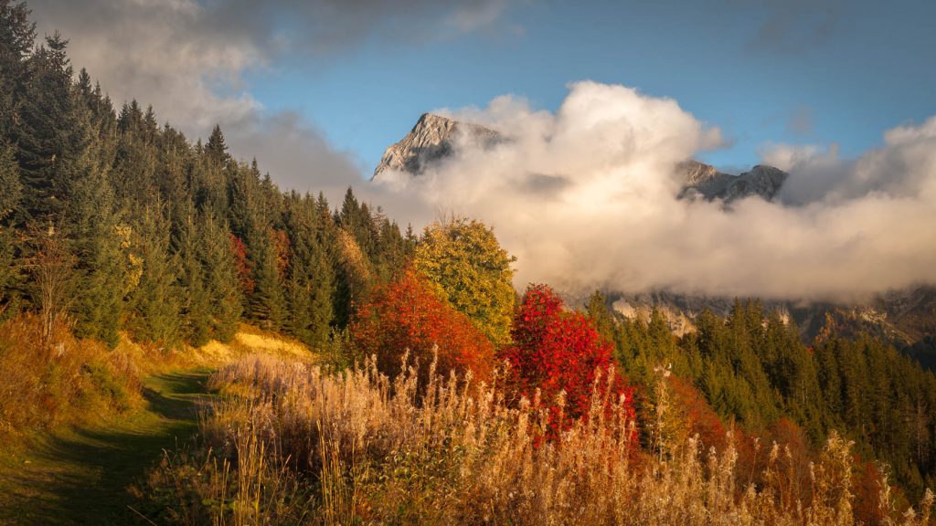 Haute-Savoie, Montagne à l'automne, Manigod